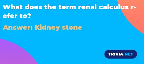 What does the term renal calculus refer to? - Trivia.net