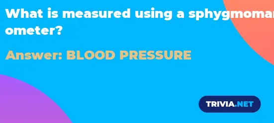 What is measured using a sphygmomanometer? - Trivia.net