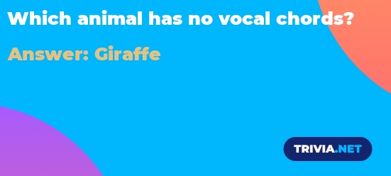 Which animal has no vocal chords? - Trivia.net
